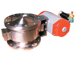 P21 Valve