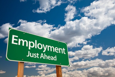 employment